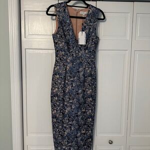 Dress the Population Sleeveless Dress